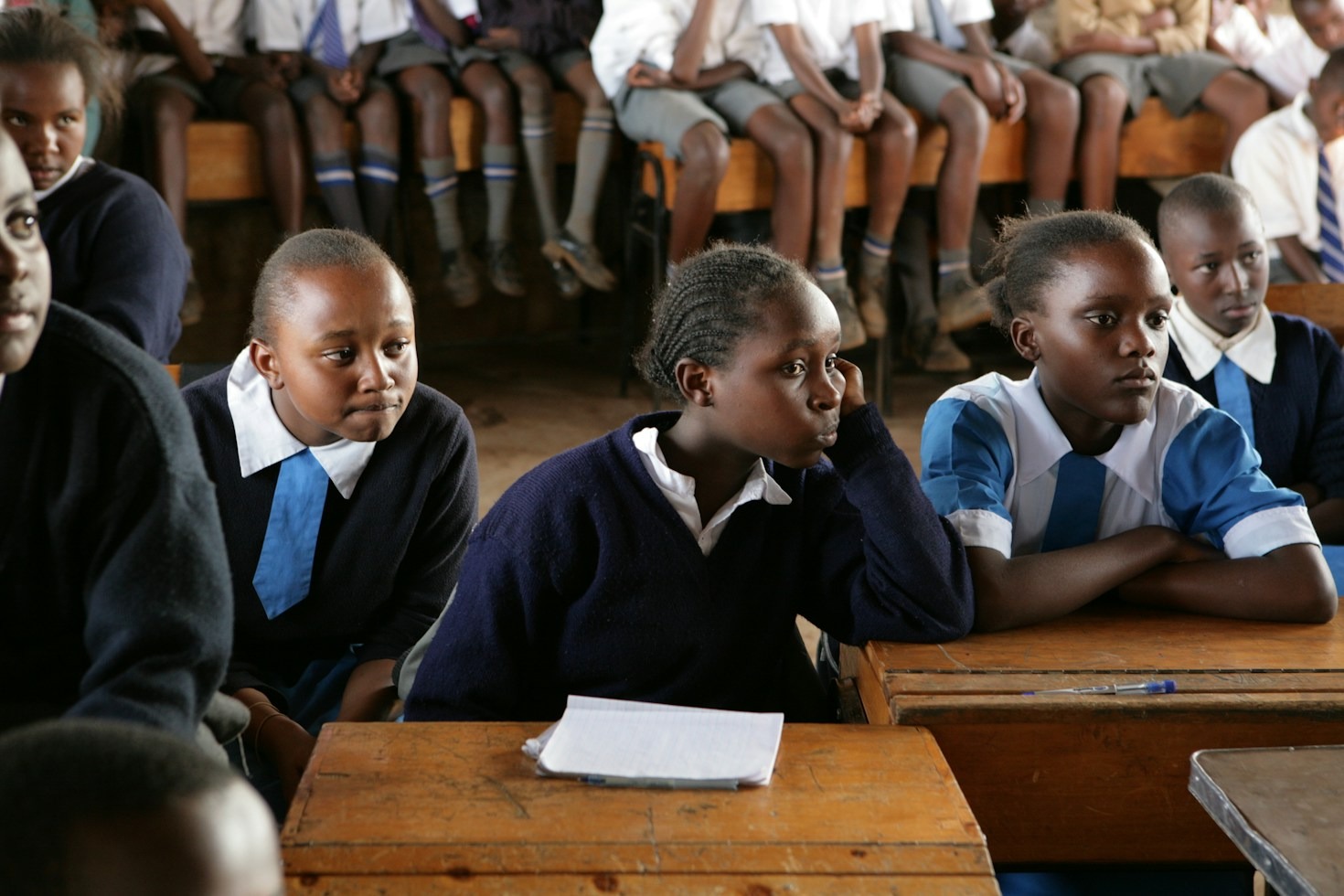 How Modern Curriculum Materials Shape Classroom Success